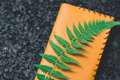 浙江大學非全日制研究生 浙江大學非全日制研究生